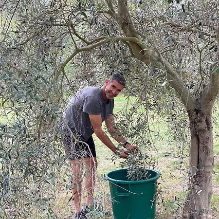 Bastide De Gueissard * Saint-Cyr-sur-Mer