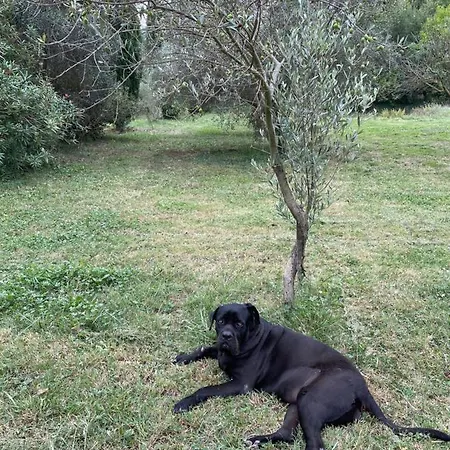 Bastide De Gueissard *