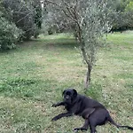 Bastide De Gueissard *