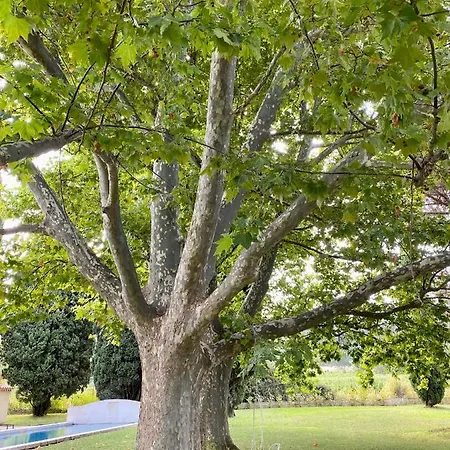 Bastide De Gueissard