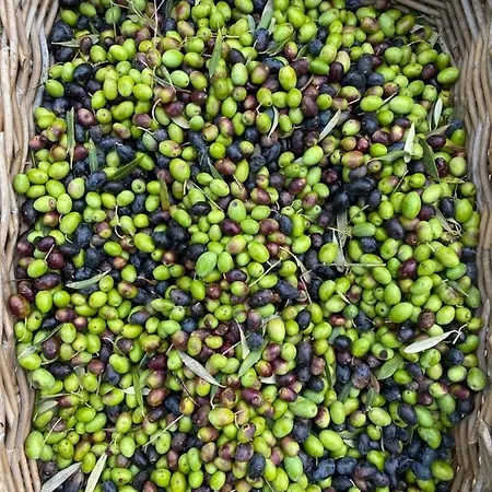 Bastide De Gueissard Couette-café