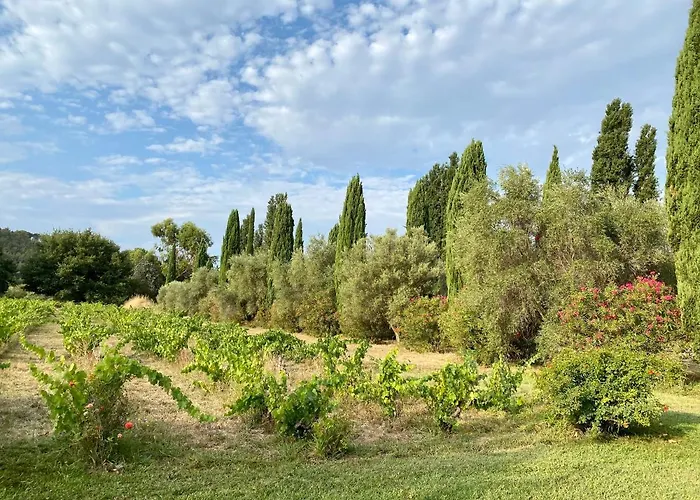 Bastide De Gueissard * Saint-Cyr-sur-Mer