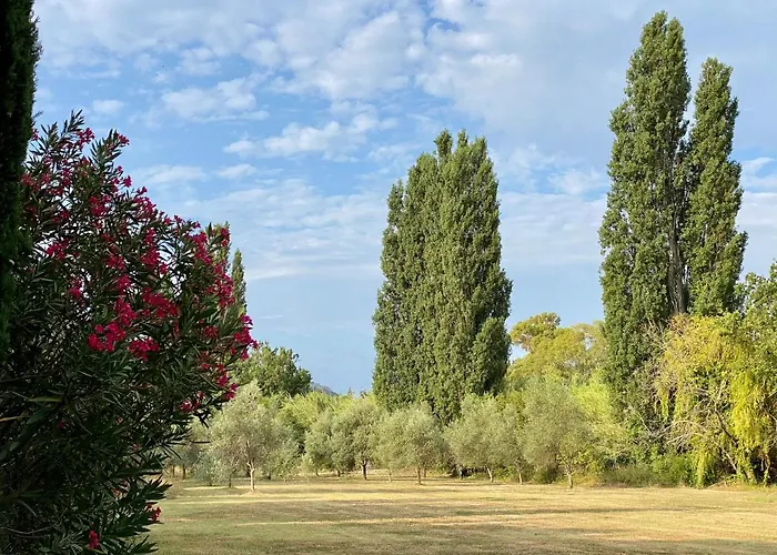 Bastide De Gueissard Bed & Breakfast *