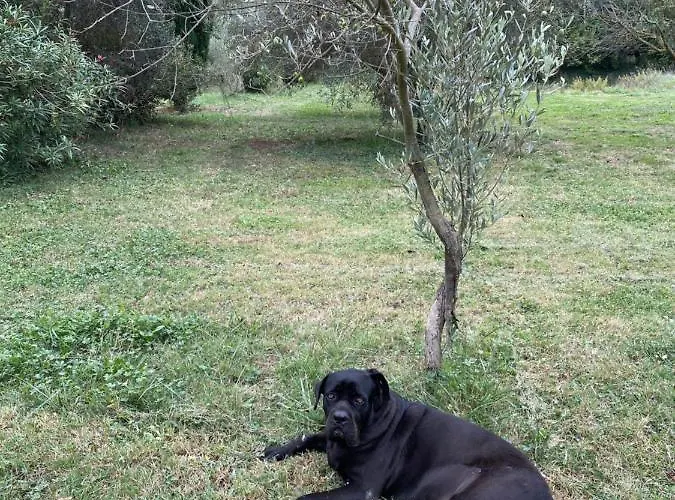 Bastide De Gueissard *